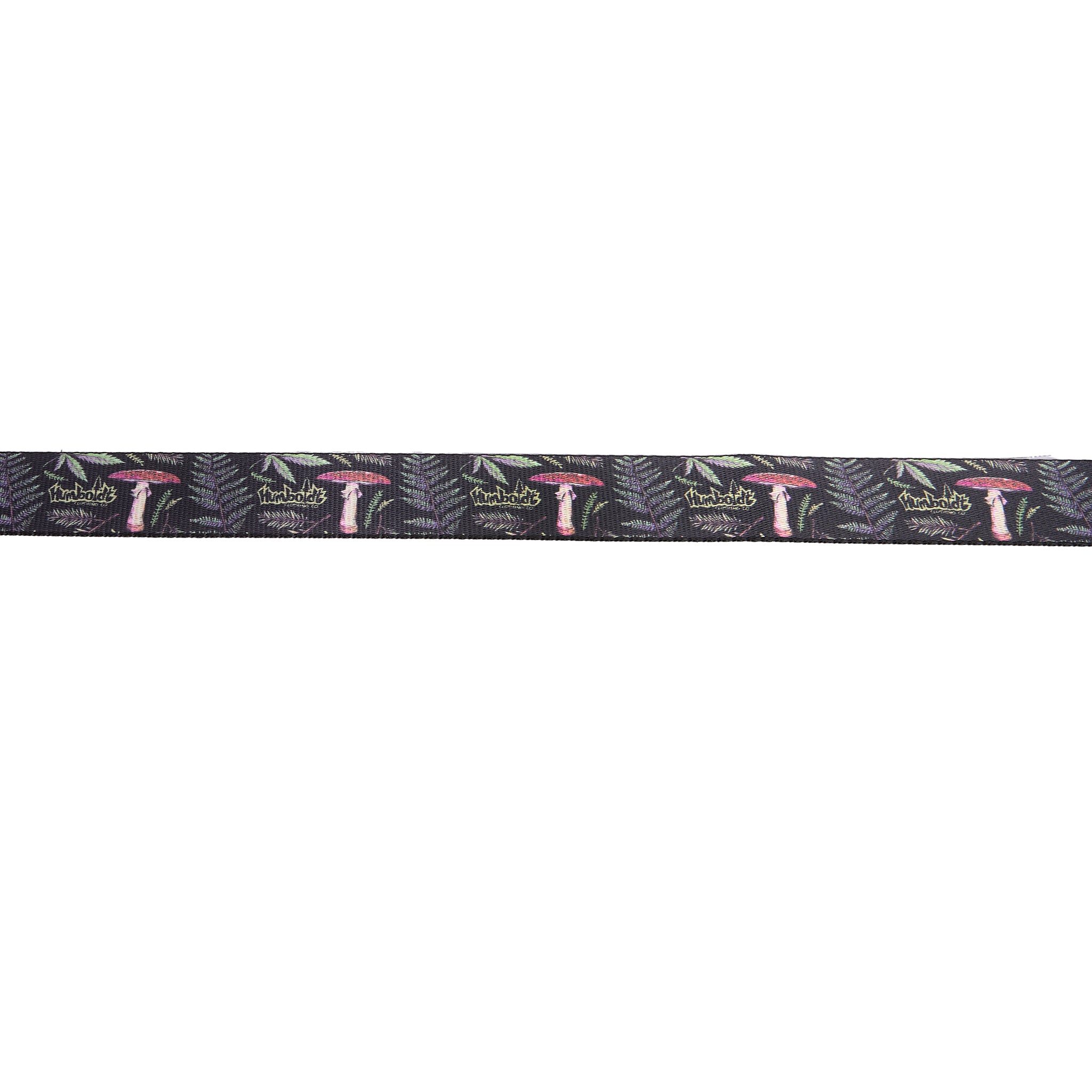 Forest Floor Belt