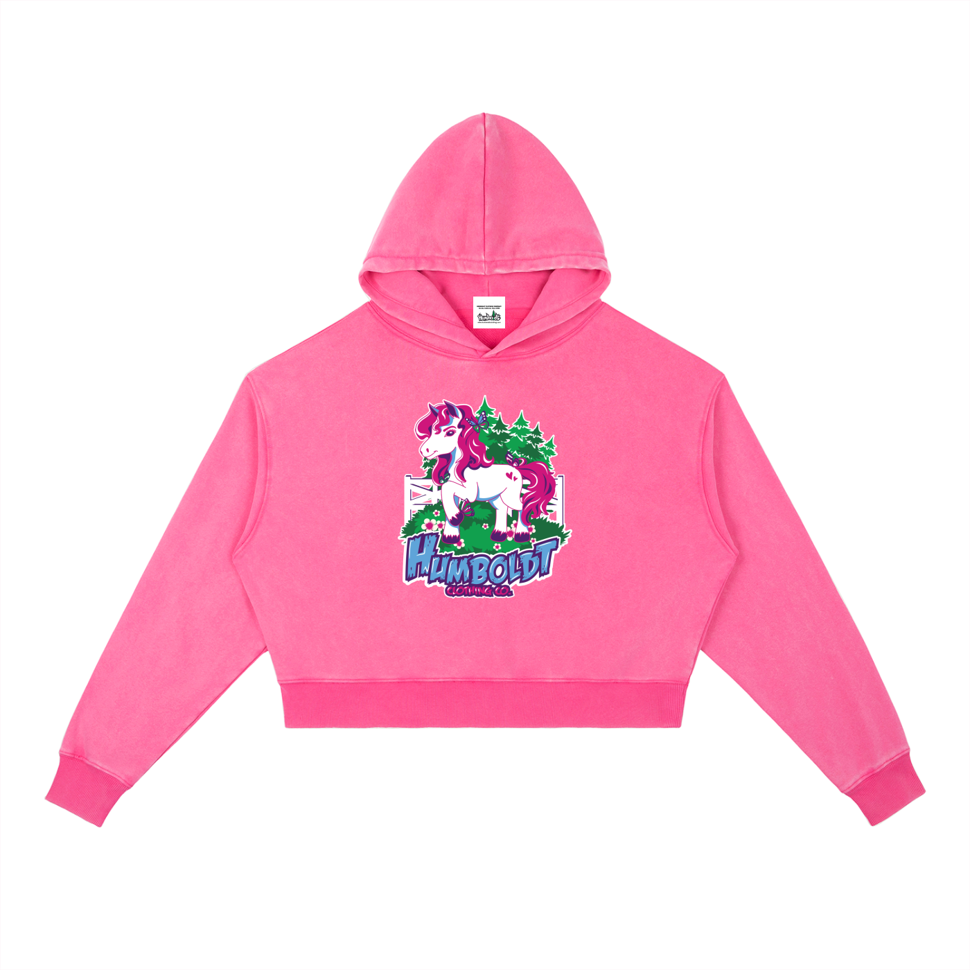 Flying Unicorn Women's Fit Vintage Washed Heavyweight Hoodie-CUSTOM ORDER