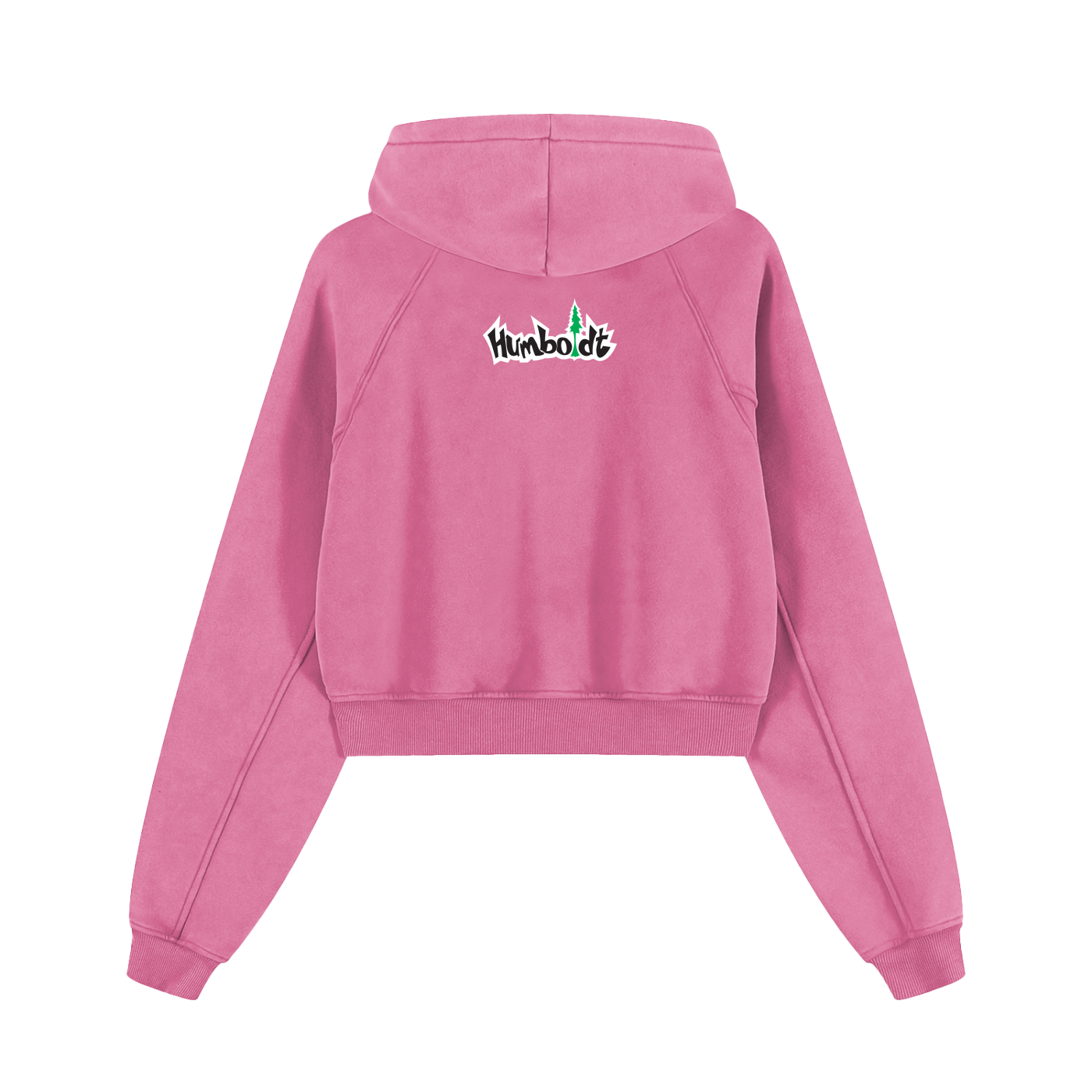 Flowers Inside Cropped Hoodie