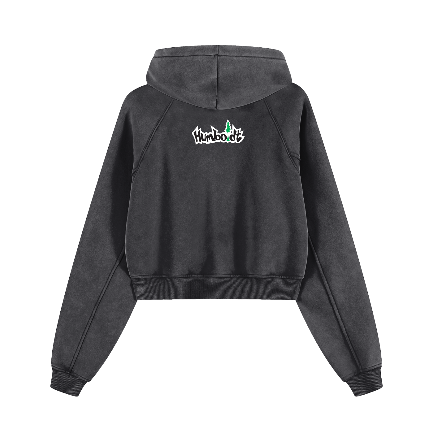 Flowers Inside Cropped Hoodie