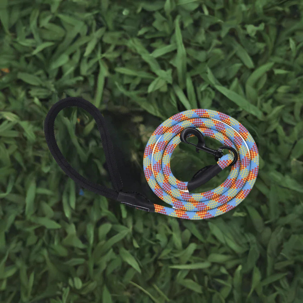 Colorful patterned dog leash with black handle coiled on green grass, outdoor pet accessory