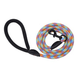 Humboldt Dog Rope Leash-RED-YEL-BLUE