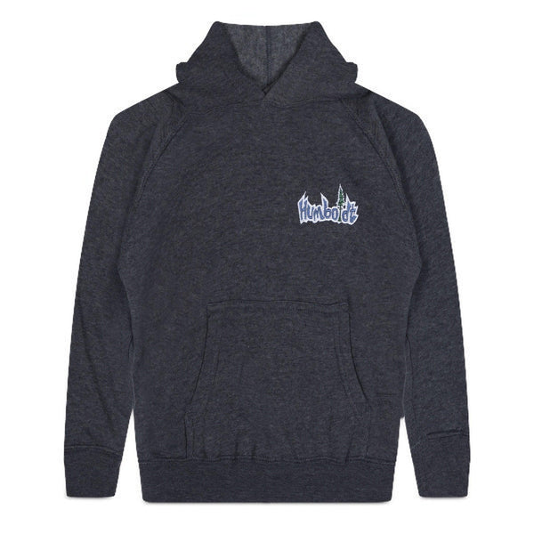 Small TL Toddler P/O Hoodie Midnight